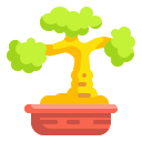 bonsai