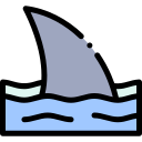 requin