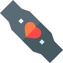 smartband icon