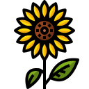 girasol icon