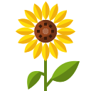 girasol icon