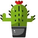 cactus icon