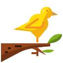 pájaro icon