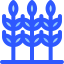 trigo icon