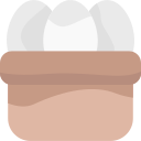 huevos icon