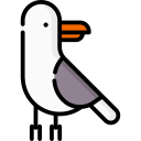 gaviota icon