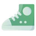 zapato icon