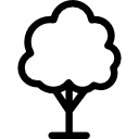 Árbol icon