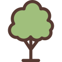 Árbol icon