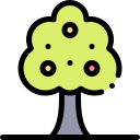 Árbol icon