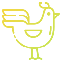 pollo icon