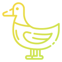 pato icon