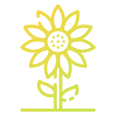 girasol icon