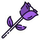 rosa icon