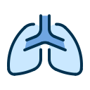 pulmones humanos