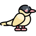 pájaro icon