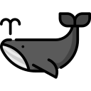 ballena icon