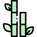 Bamboo