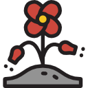 amapola icon