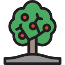 Árbol de frutas icon