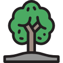 Árbol icon