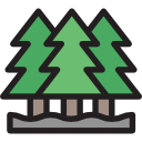 pines icon