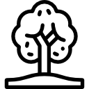 Árbol icon