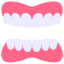 dentadura postiza icon