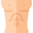 abdômen 