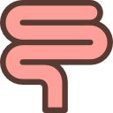 intestino icon