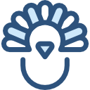 pavo icon