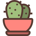 cactus icon