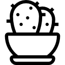 cactus icon