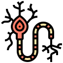 neurona icon