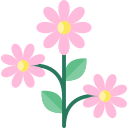 fleurs 
