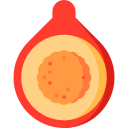 quandong icon