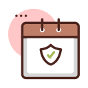 seguridad icon