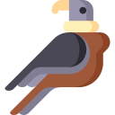 pájaro icon