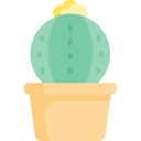 cactus icon