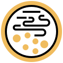 Bacteria icon