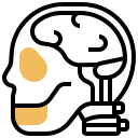 Human brain icon