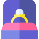 anillo icon