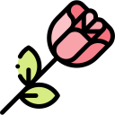 rosa icon