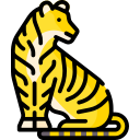 tigre icon