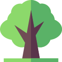 Árbol icon