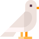 pájaro icon