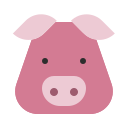 cerdo 