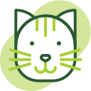 gato icon