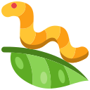 oruga icon