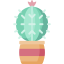 cactus icon